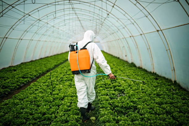 Pest Control for Restaurants in Fort Dodge, IA
