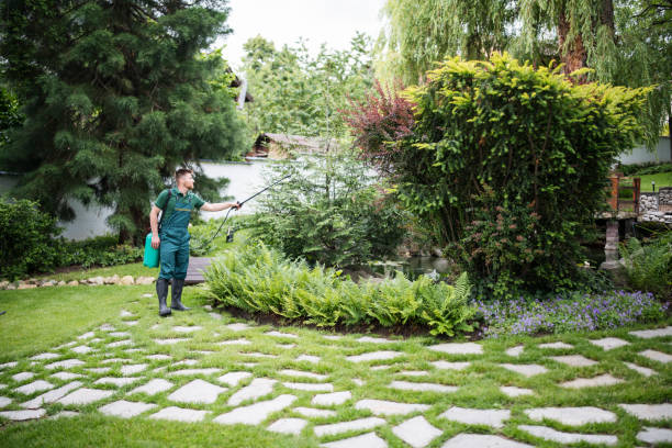 Best Pest Control Near Me in Fort Dodge, IA