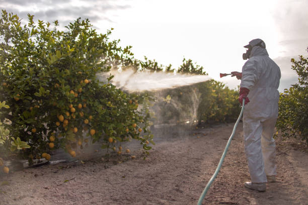 Best Pest Prevention Services  in Fort Dodge, IA