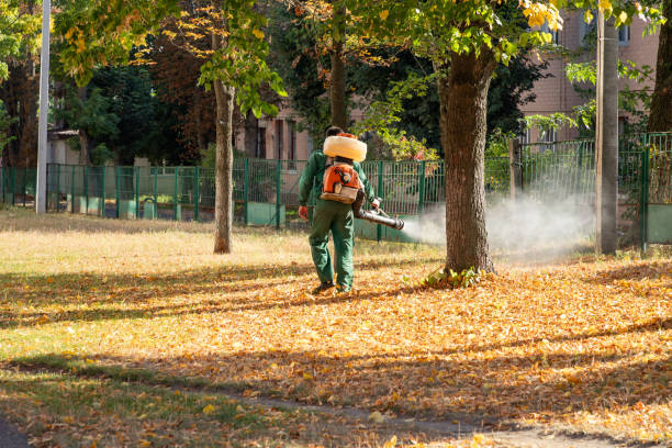 Best Cockroach Control Services  in Fort Dodge, IA